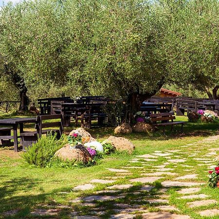 Agriturismo Il Solengo Villa Cretone Esterno foto